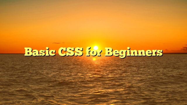 Basic CSS for Beginners
