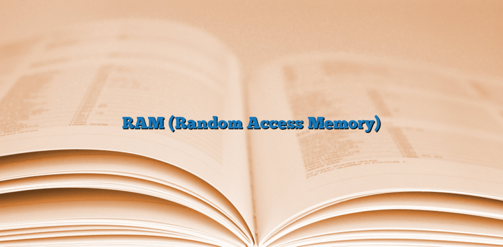 RAM (Random Access Memory)
